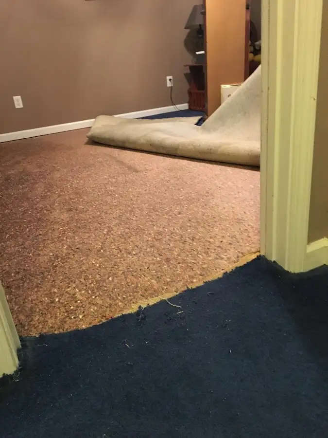 Carpet pad removal revealing water damage during Drying & Dehumidification in Olive Branch
