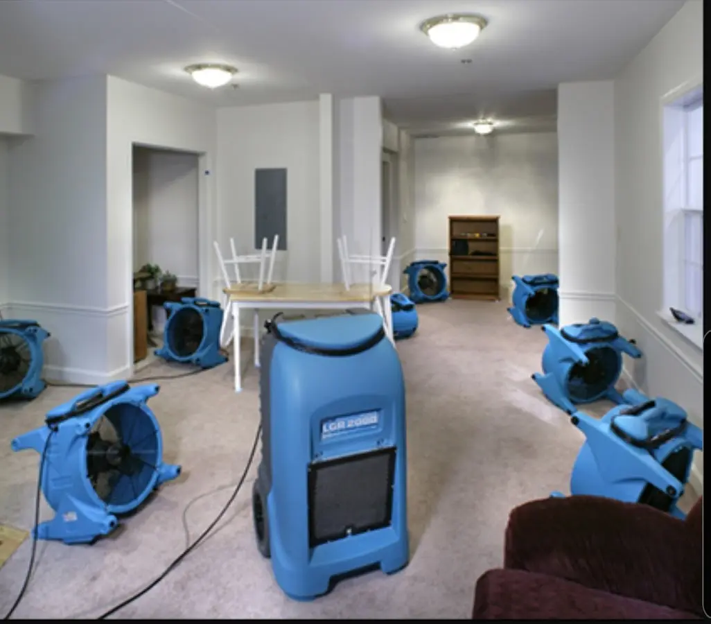 Air movers and dehumidifier setup for Water Extraction & Removal in Olive Branch