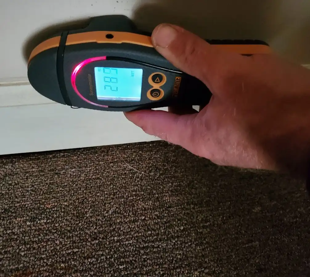 Moisture detection at baseboard during Sewage Cleanup & Sanitation in Olive Branch
